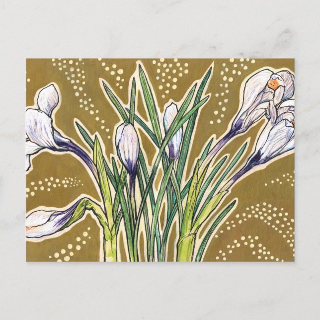 Postal Jardín de crocus blancos Flores Botánicas Arte flo (Anverso)