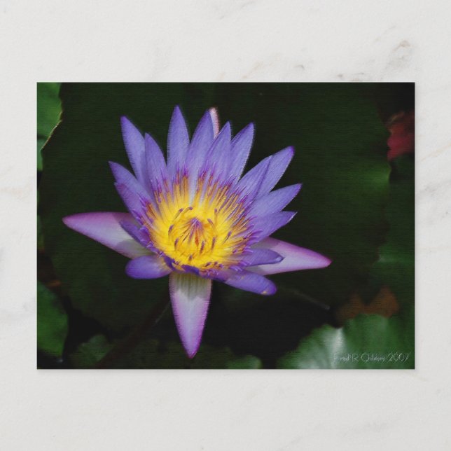 Postal jardín de eden (Anverso)