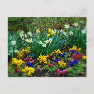 Postal Jardín de flores en primavera
