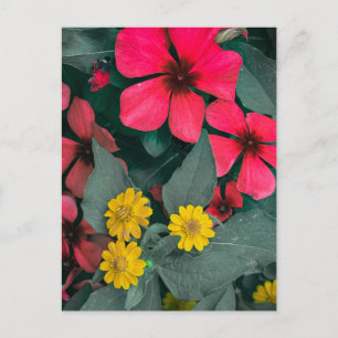 Postal Jardín de flores rojas y amarillas en primer plano