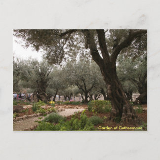 Postal Jardín de Gethsemane
