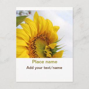 Postal jardín de girasoles amarillos añadir foto texto no