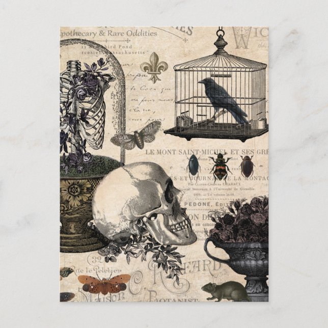 Postal Jardín de Halloween Vintage Moderno (Anverso)