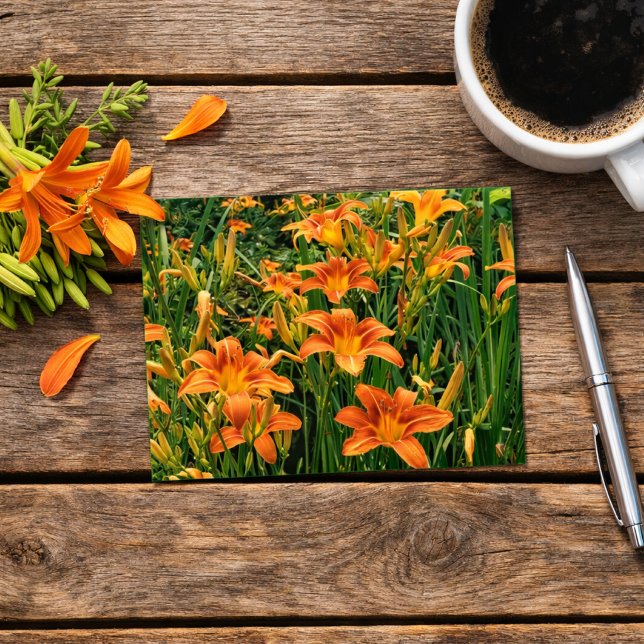 Postal Jardín de Hemerocallis / Fotografía de flores de l (Subido por el creador)
