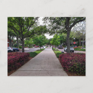 Postal Jardín de Invierno, Florida