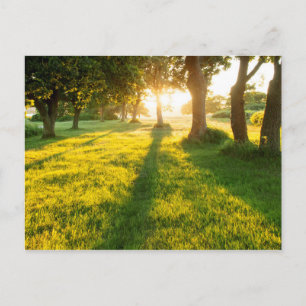 Postal Jardín De Los Robes De Edén