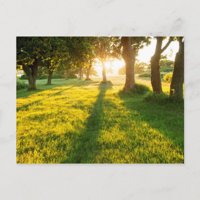 Postal Jardín De Los Robes De Edén (Anverso)