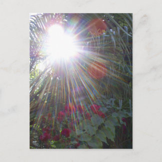 Postal Jardín de luz solar
