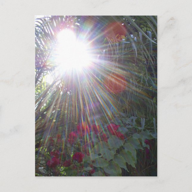 Postal Jardín de luz solar (Anverso)