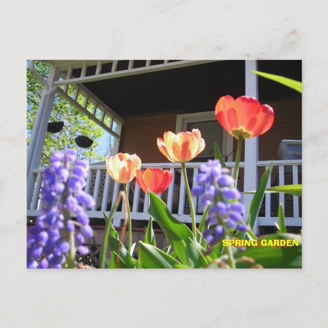 POSTAL JARDÍN DE PRIMAVERA (Anverso)