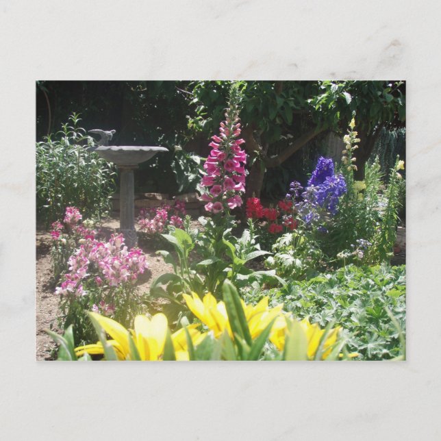 Postal Jardín de primavera 2009 006 (Anverso)