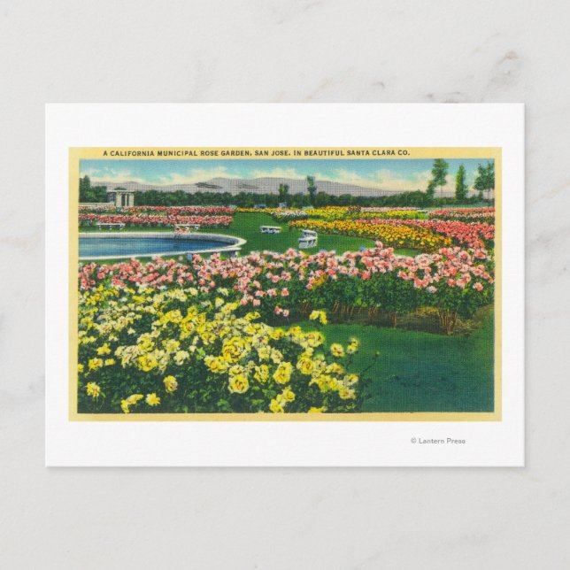 Postal Jardín de Rosas Municipales en el Condado de Santa (Anverso)