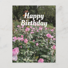 Postal Jardín de rosas rosadas Deseos de cumpleaños posta