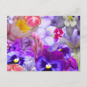 Postal Jardín de Rotary