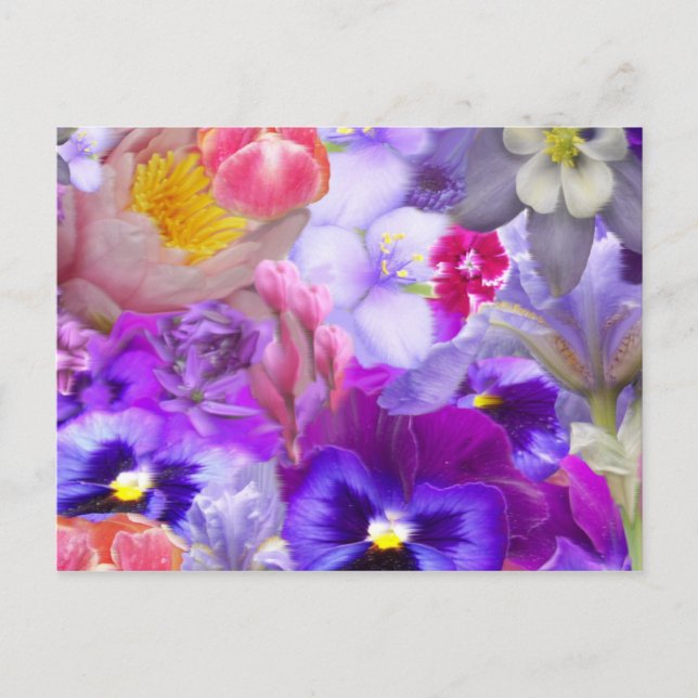 Postal Jardín de Rotary (Anverso)