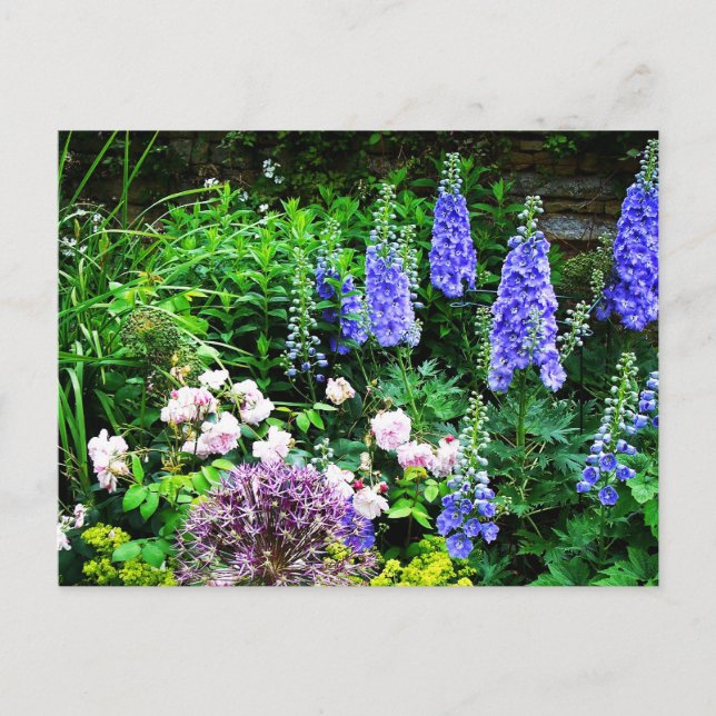 Postal Jardín de verano (Anverso)