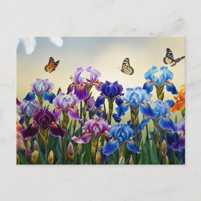 Postal Jardín de verano con flores de iris y mariposas (Anverso)