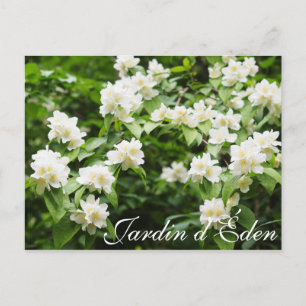 Postal Jardin d'Éden
