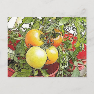 Postal Jardín Fresco Heirloom Tomates