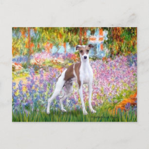 Postal Jardín - Galgo Italiano 7