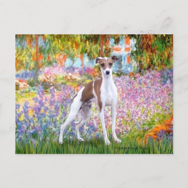 Postal Jardín - Galgo Italiano 7 (Anverso)