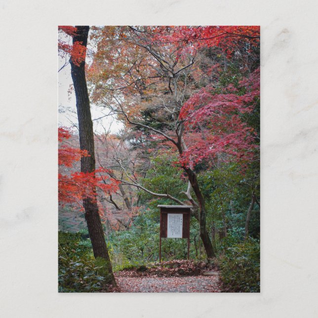 Postal Jardín interior del santuario Meiji-Jingu (Anverso)