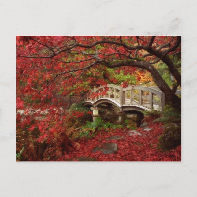 Postal Jardín japonés (Anverso)