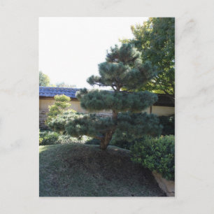 Postal Jardín japonés en Fort Worth Texas # 17