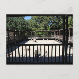 Postal Jardín japonés en Fort Worth Texas # 54