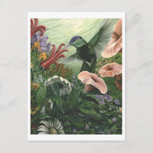 Postal Jardín magnífico