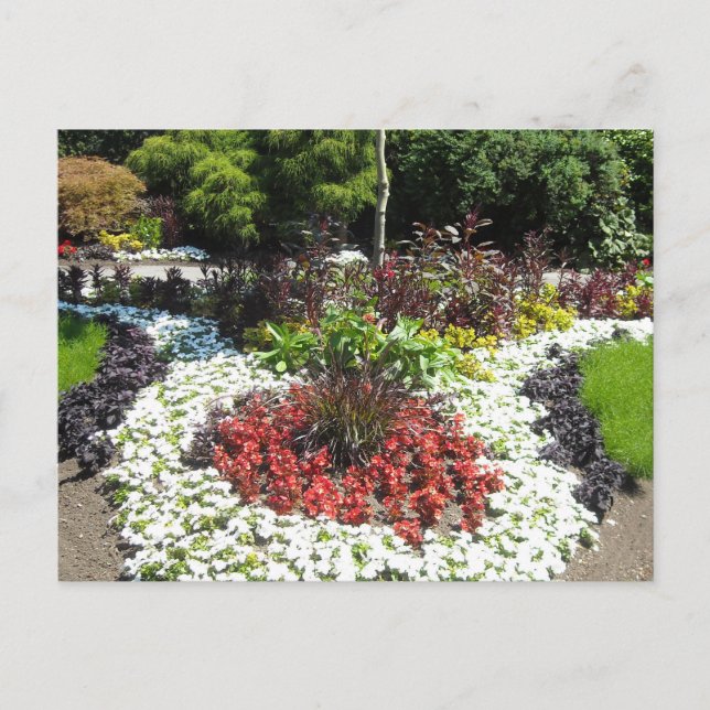 Postal Jardín Manicurado (Anverso)