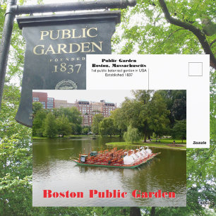 Postal Jardín Público de Boston Swan Boats Fotográfico