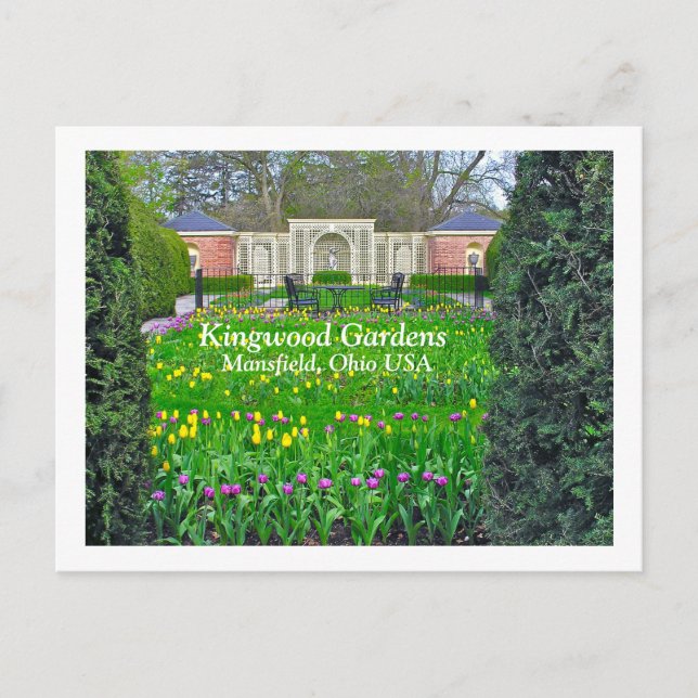 POSTAL JARDÍN PURPLE Y AMARILLO, JARDINES DE KINGWOOD (Anverso)