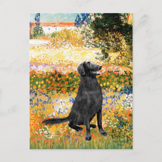 Postal Jardín - Retriever de capa plana (Anverso)