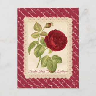 Postal Jardin Rosa Charles Lefebvre
