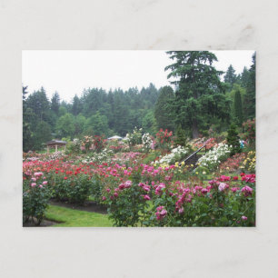 Postal Jardín Rosa de Portland.