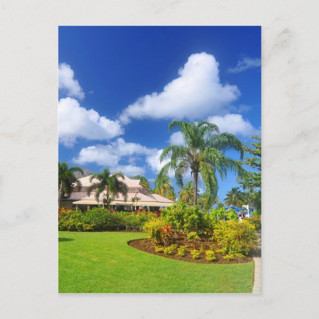 Postal Jardín tropical (Anverso)