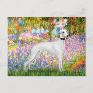 Postal Jardín - Whippet 11b