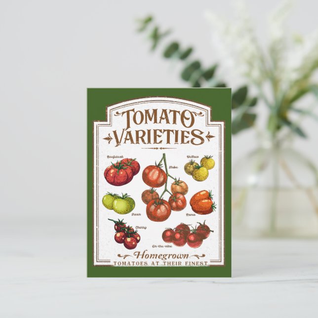 Postal Jardinería de tomates, huerto de tomates (Anverso de pie)