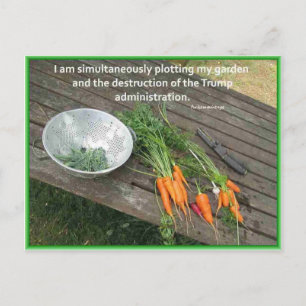 Postal Jardinería de zanahorias, saqueos y resistencia a