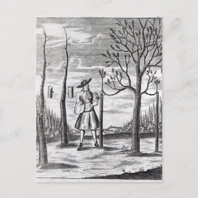 Postal Jardinería y enfermedades vegetales (Anverso)