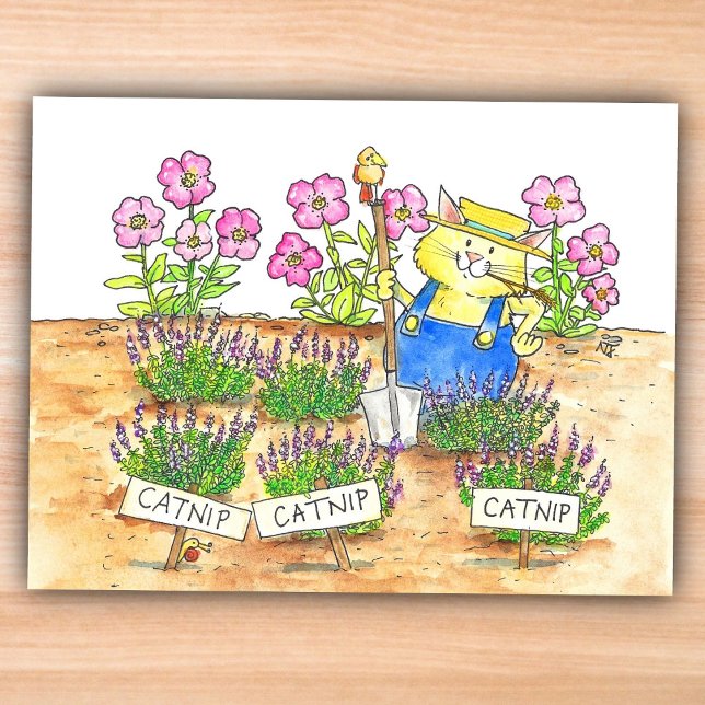 Postal Jardinero de gatos  (Subido por el creador)