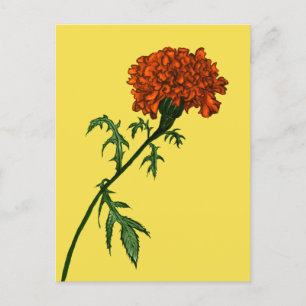 Postal Jardinero de la planta de flores Marigold de Franc