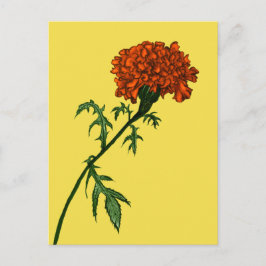 Postal Jardinero de la planta de flores Marigold de Franc