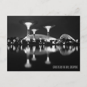 Postal Jardines a orillas del Bay Postcard