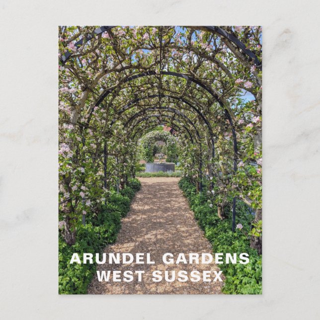 Postal Jardines Arundel en primavera, foto de West Sussex (Anverso)