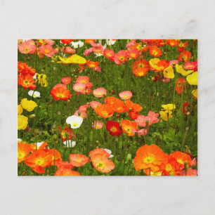 Postal Jardines botánicos