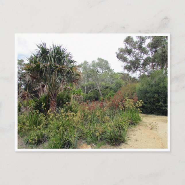 Postal jardines botánicos canberra (Anverso)