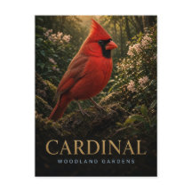 Jardines de Bosque Cardenal Vida Silvestre ANIMAL