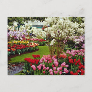 Postal Jardines de Keukenhof en Lisse, al sur de Amster